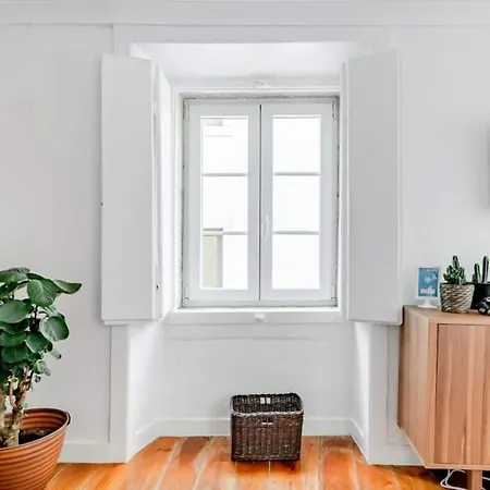 公寓 Vintage Inspired Flat In Lisboa